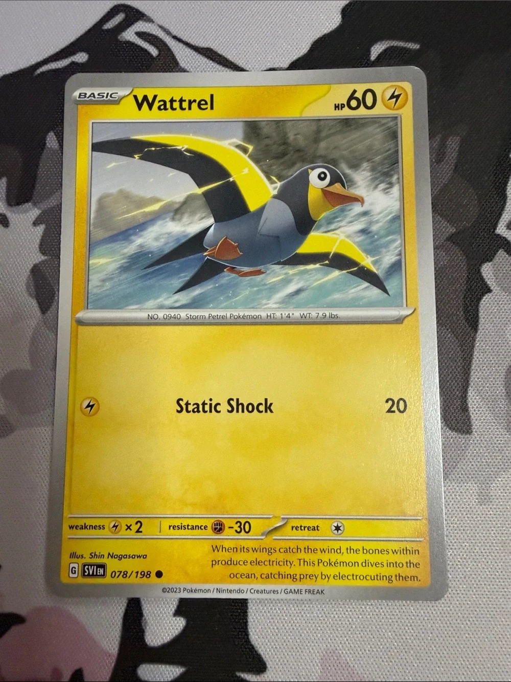 Wattrel & Kilowattrel Collection Lot | 5 Pokémon Cards | ✨5/$25✨